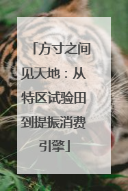 方寸之间见天地：从特区试验田到提振消费引擎